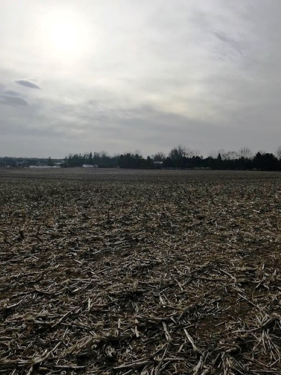 0 West Cruger Road Washington, IL 61571 - Photo 4 of 6