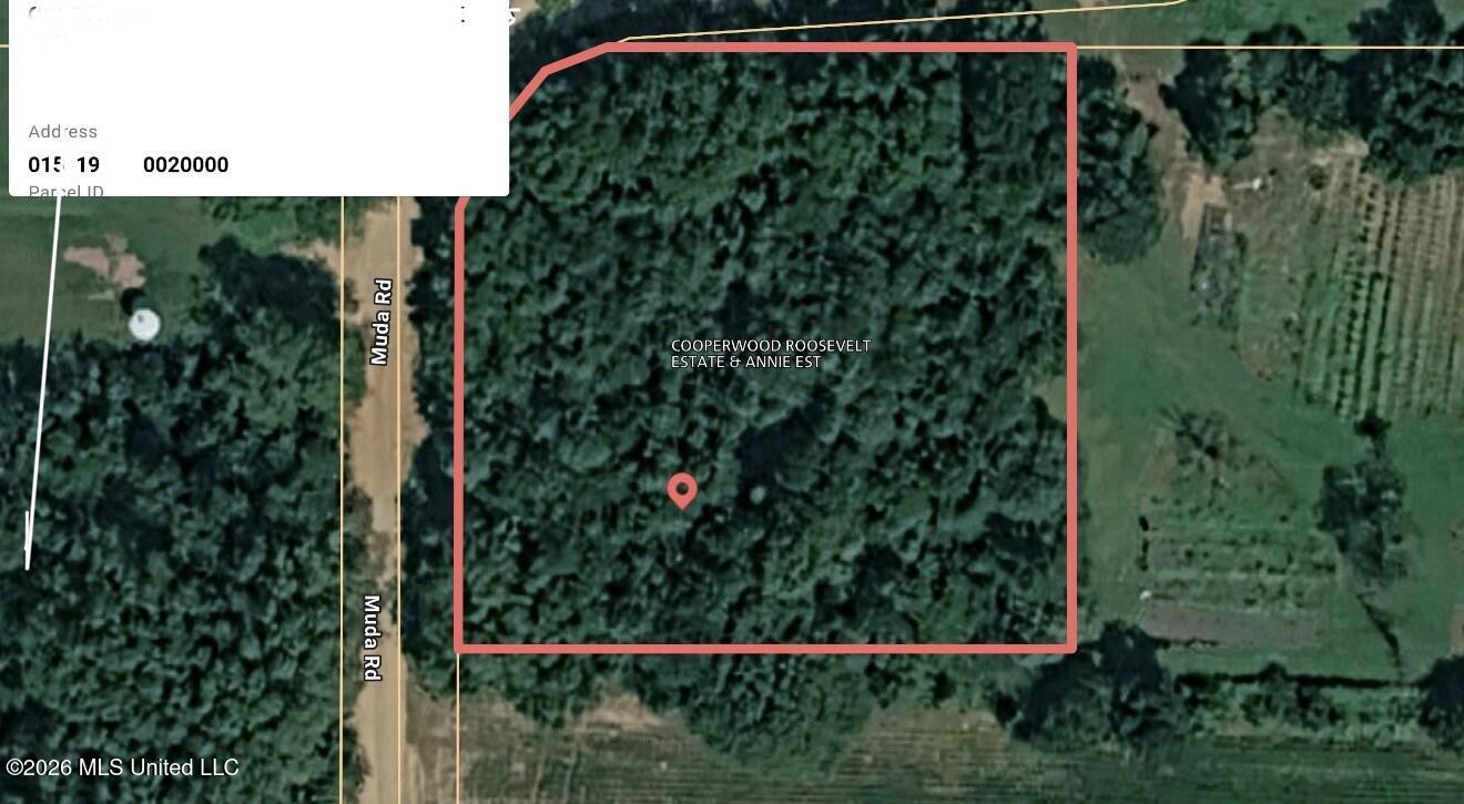 Muda Rd Rd Point West Point, MS 39773 - Photo 2 of 2 IMG_4003