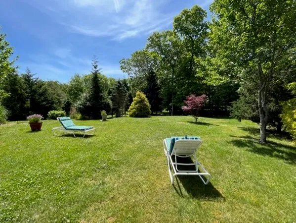 a view of a garden with lawn chairs