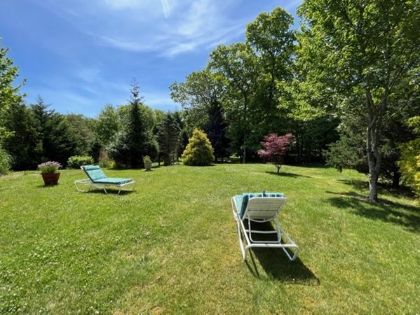 165 Christiantown Road West Tisbury, MA 02568 - Photo 8 of 8 a view of a garden with lawn chairs