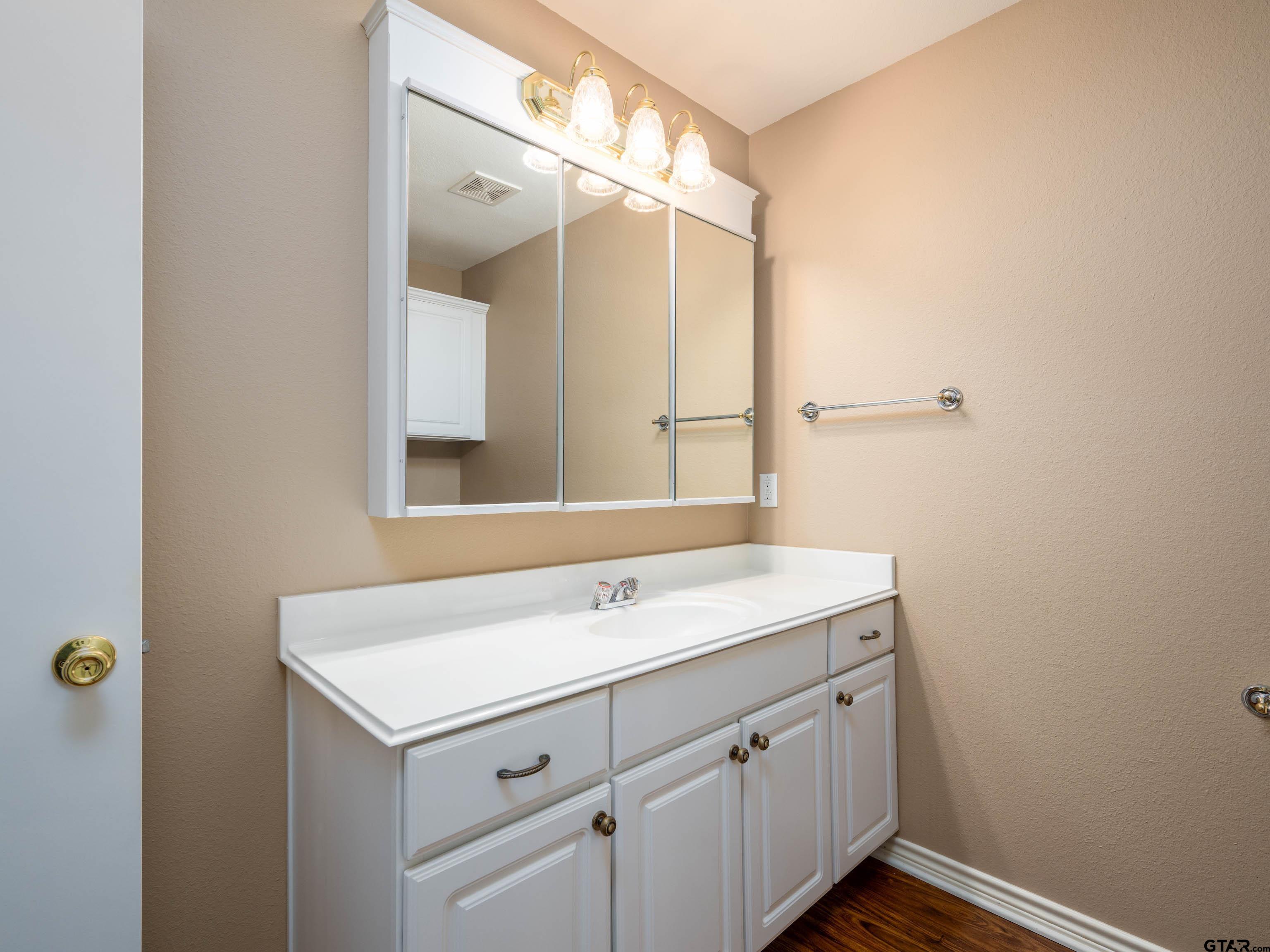 1521 Rice Road Tyler, TX 75703 - Photo 19 of 23 a bathroom with a sink a mirror and a shower