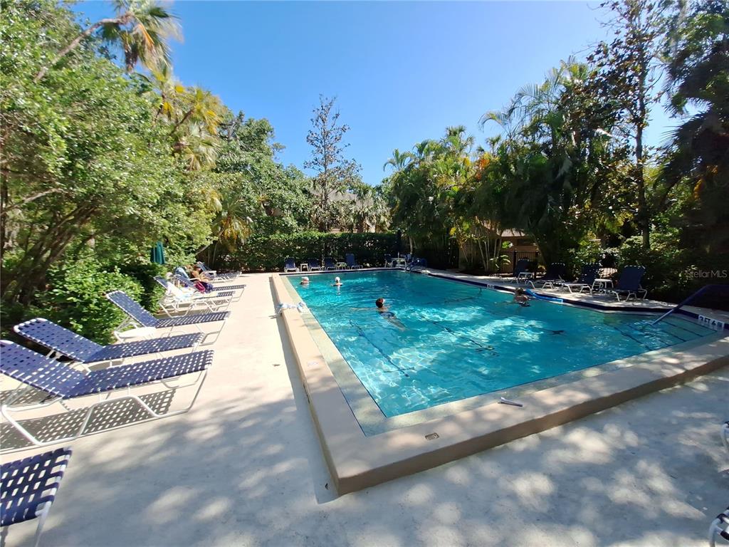 1697 Brookhouse Circle, Unit 217 Sarasota, FL 34231 - Photo 20 of 24 a view of backyard with swimming pool