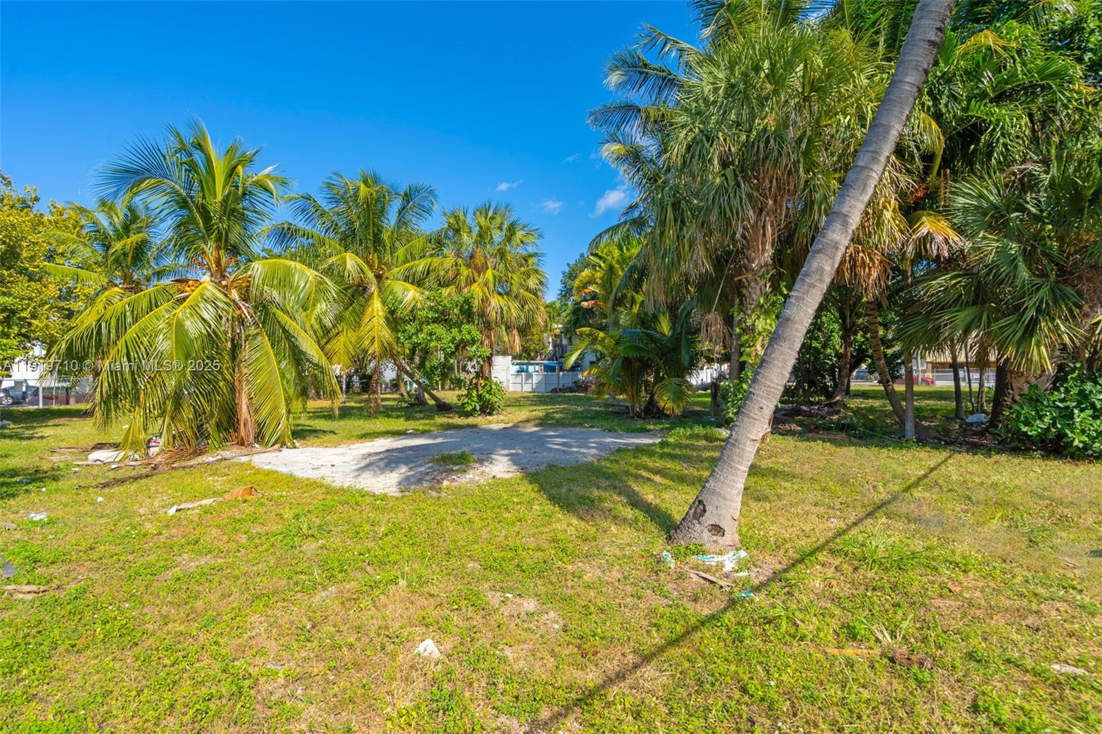 1025 West Flagler Street Miami, FL 33128 - Photo 17 of 21 a view of swimming pool with large trees
