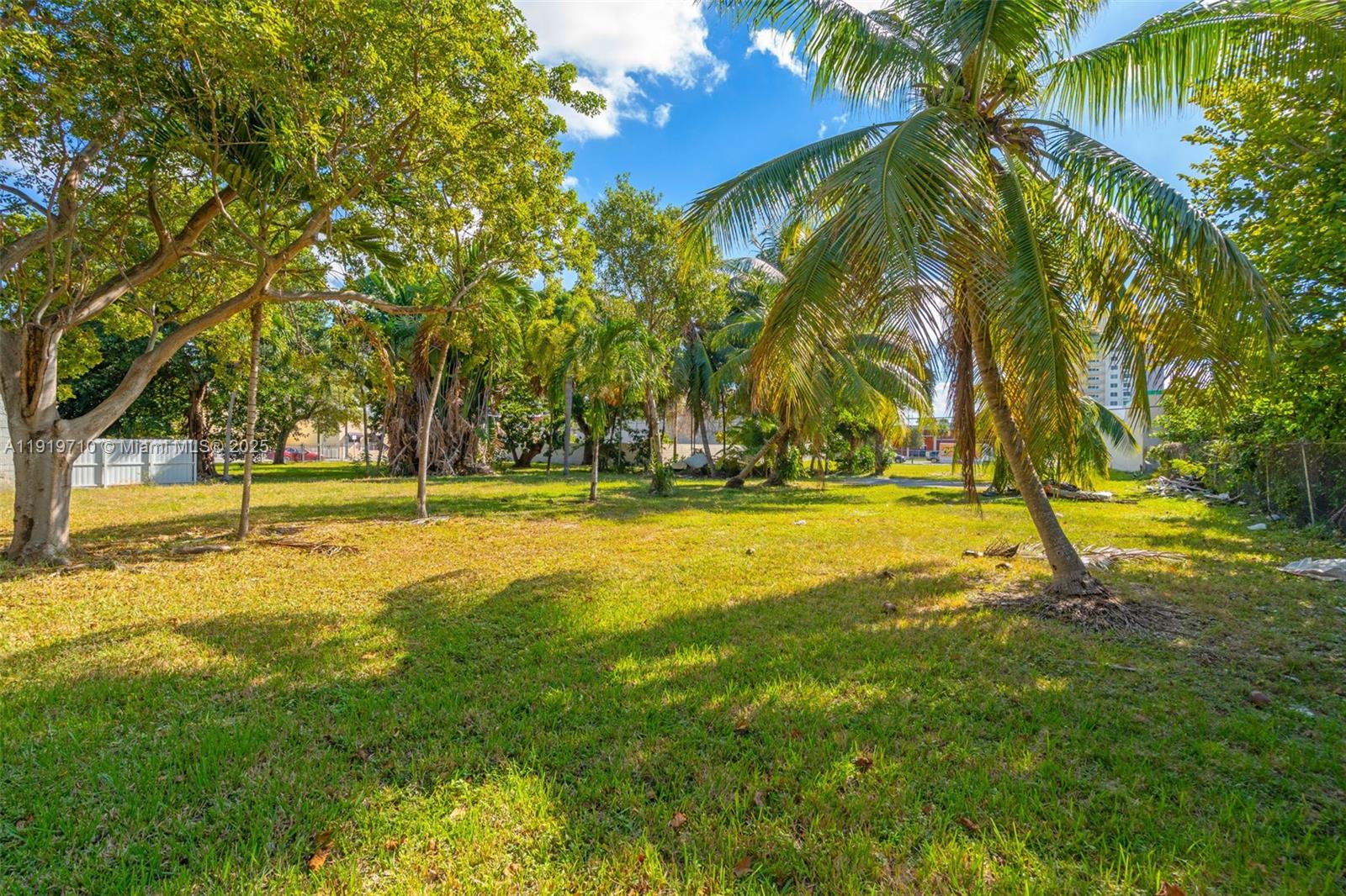 1025 West Flagler Street Miami, FL 33128 - Photo 18 of 21 a view of yard with green space