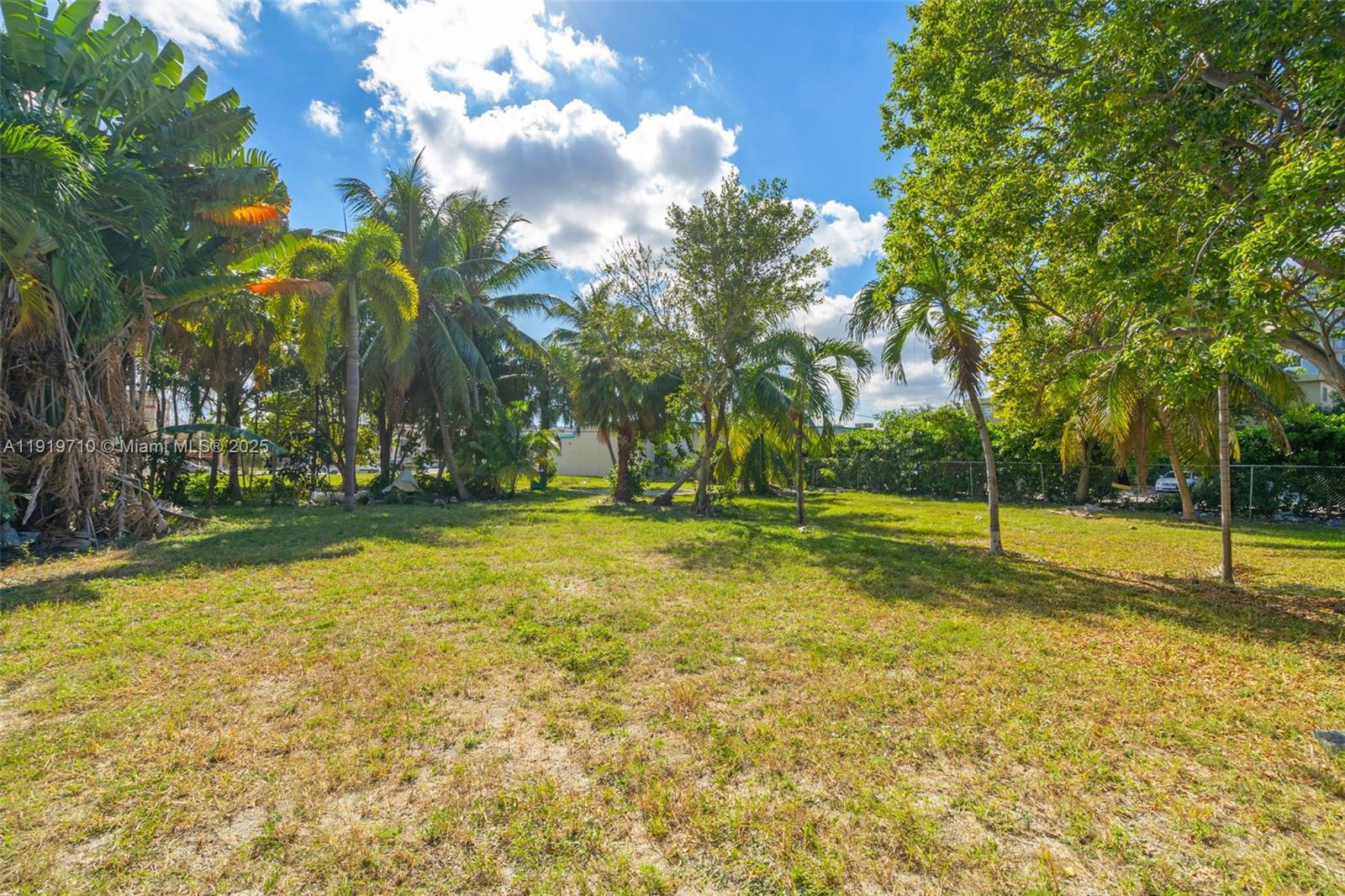 1025 West Flagler Street Miami, FL 33128 - Photo 19 of 21 a view of pool with trees