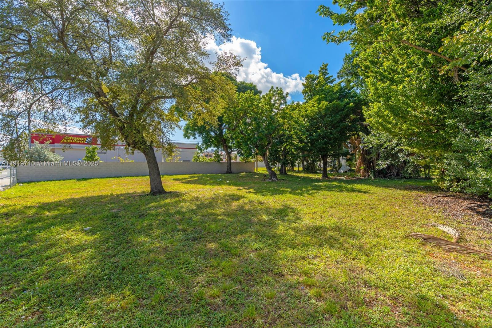 1025 West Flagler Street Miami, FL 33128 - Photo 21 of 21 a view of swimming pool with a tree