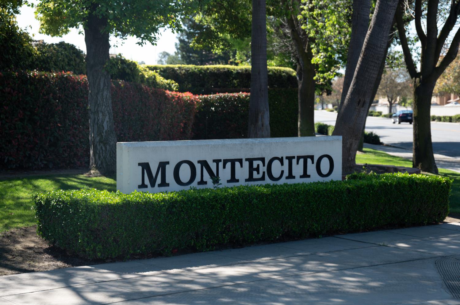 3 West Loop Madera, CA 93637 - Photo 4 of 44