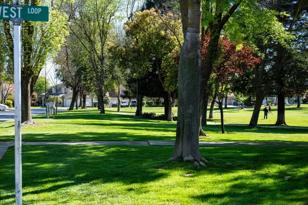 $535,000 | 3 West Loop, Madera, CA 93637