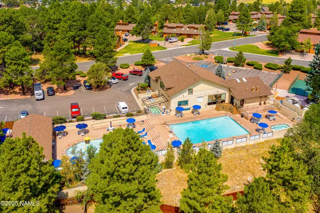 a view of a patio with table and chairs potted plants and a palm tree