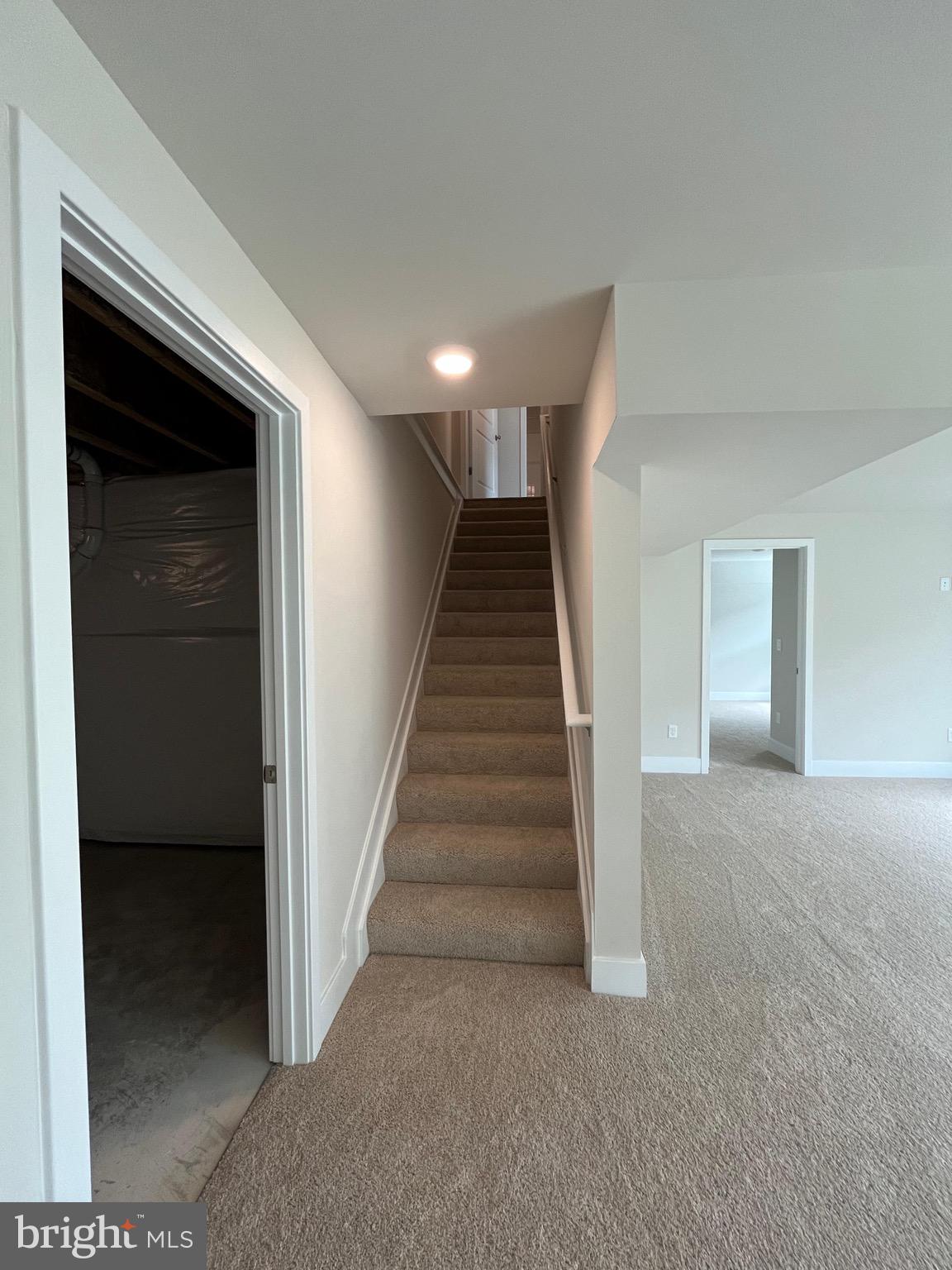 117 Manasquan Way Winchester, VA 22602 - Photo 17 of 34 a view of entryway and hall