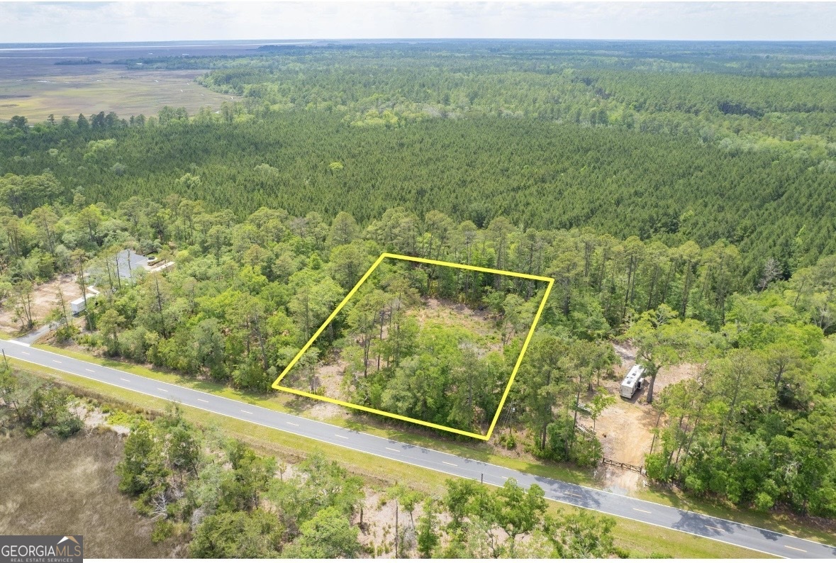 0 Piney Bluff Road Waverly, GA 31565 - Photo 26 of 26