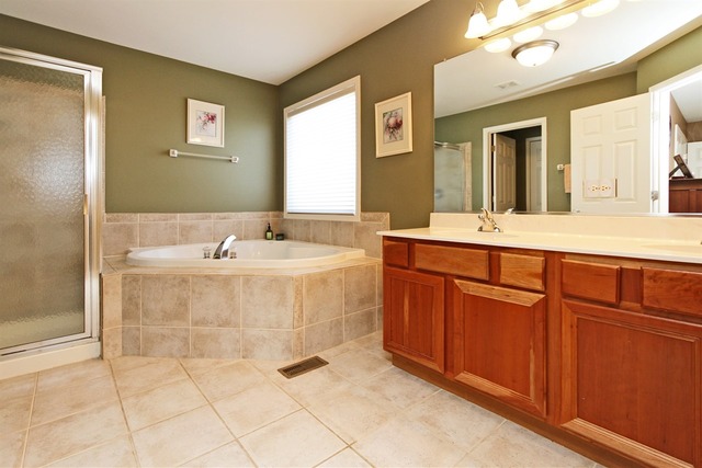 1561 Southgate Road Bartlett, IL 60103 - Photo 20 of 25 a bathroom with a sink and a mirror