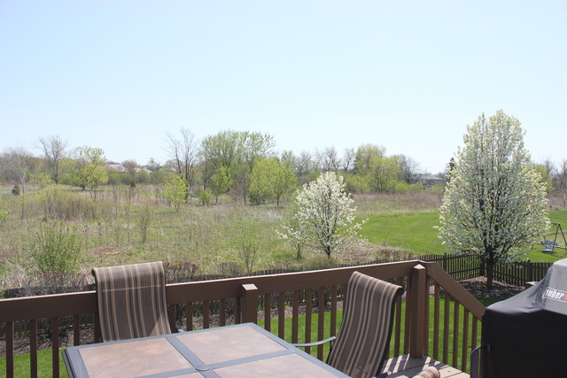 1561 Southgate Road Bartlett, IL 60103 - Photo 24 of 25 a terrace view with two chairs