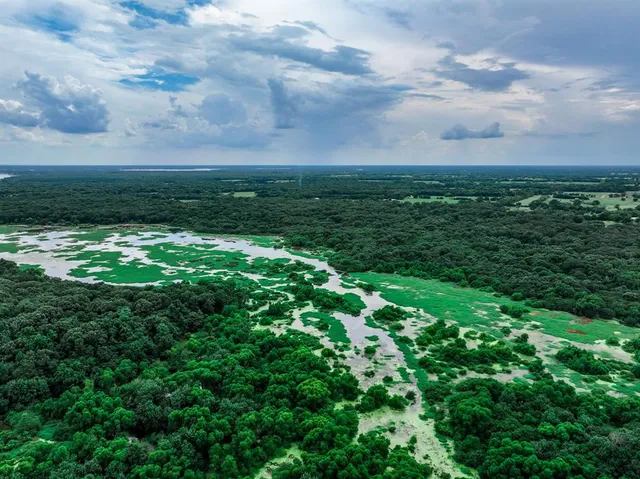 a yard with lots of green space