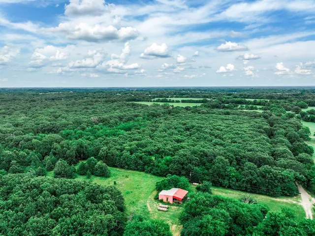 a view of a bunch of trees