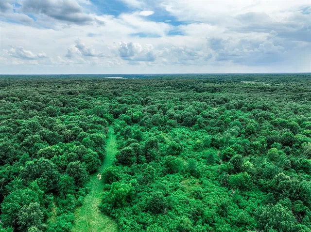 a view of a field of grass and trees