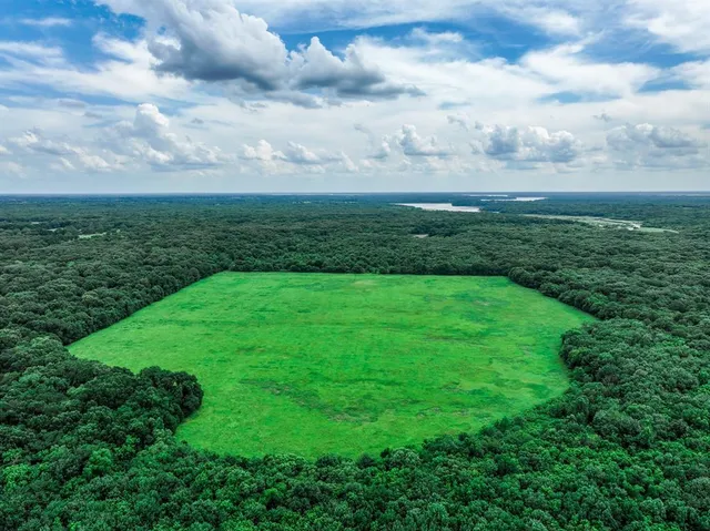 a view of a big yard with lots of green space