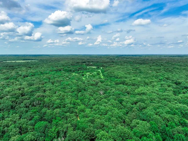 a view of a big yard