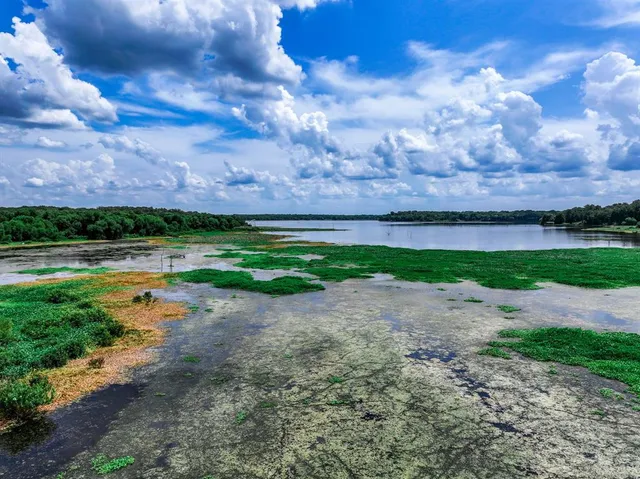 a view of yard with green space
