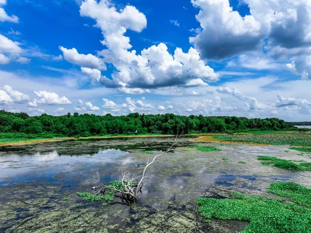 a view of a big yard with lots of green space