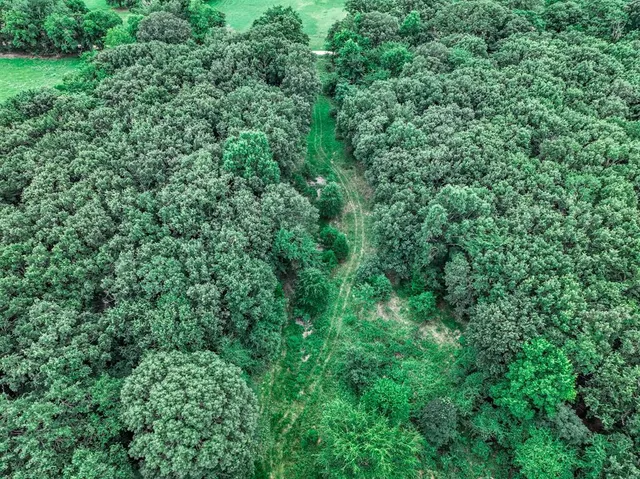 a backyard of a house with lots of green space
