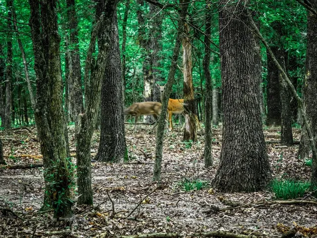 a view of balcony with yard