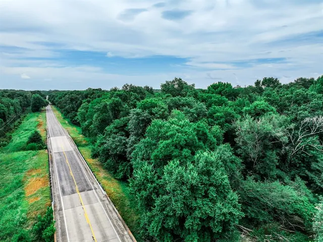 a view of a lush green forest
