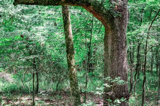 a picture of a bathroom with a shower