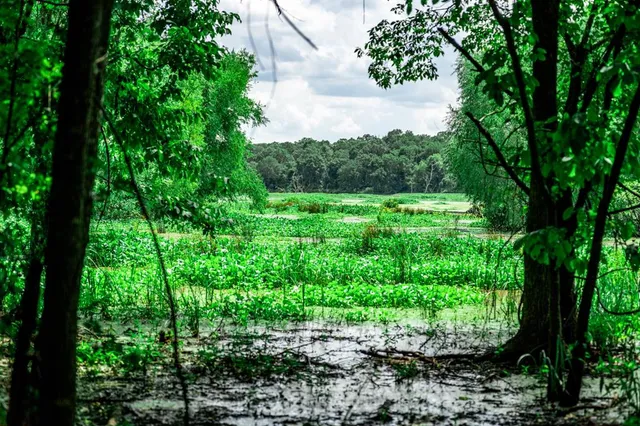 a view of an outdoor space
