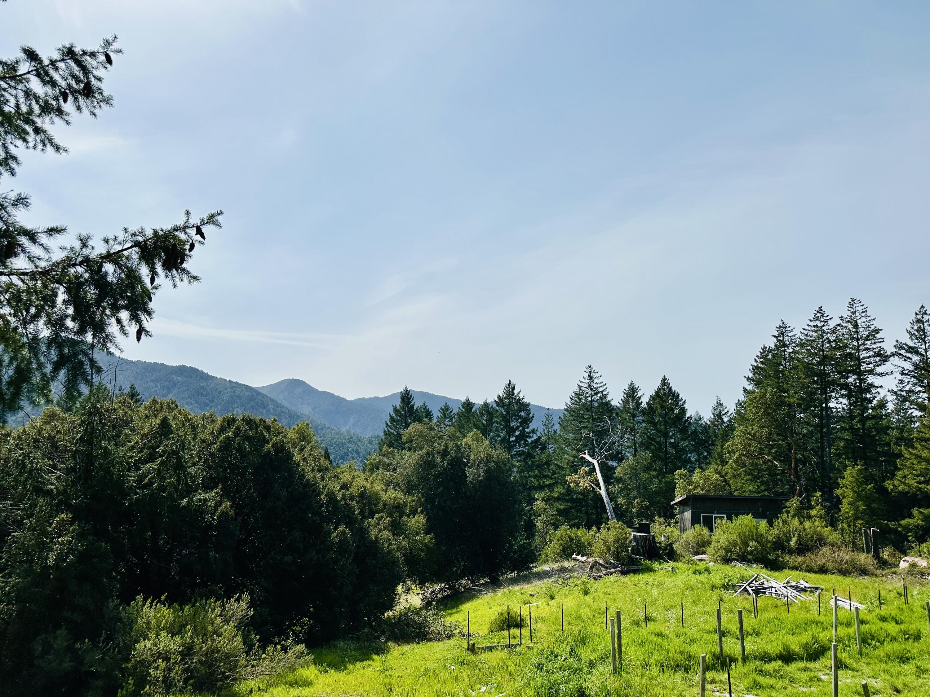 4756 Wilder Ridge Road Garberville, CA 95542 - Photo 39 of 43 IMG_3842