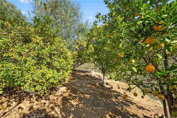 $3,999,000 | 44930 Via Renaissance, Temecula, CA 92590