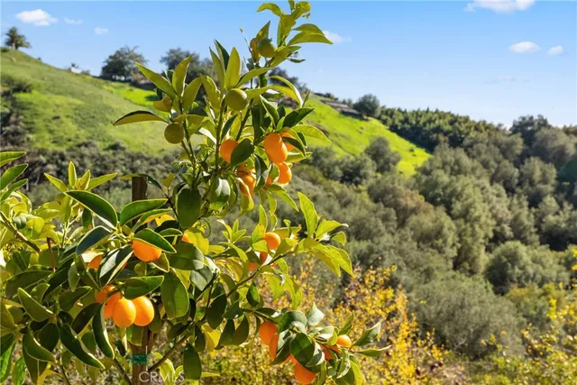 $3,999,000 | 44930 Via Renaissance, Temecula, CA 92590