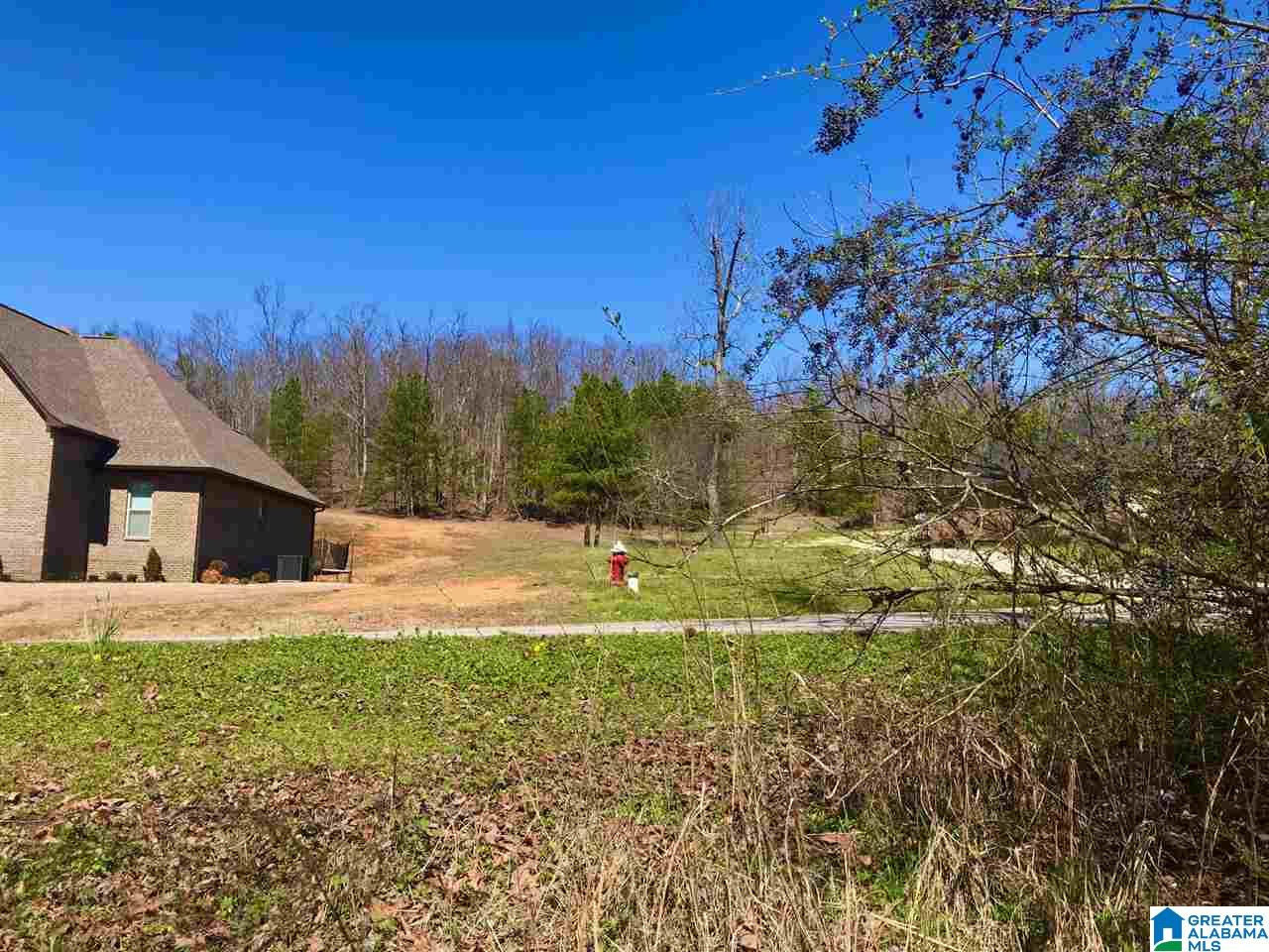 0 Teem Road, Unit 32A Cullman, AL 35057 - Photo 2 of 14