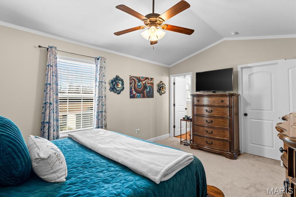 821 Chesapeake Jct Lane O'Fallon, IL 62269 - Photo 28 of 57