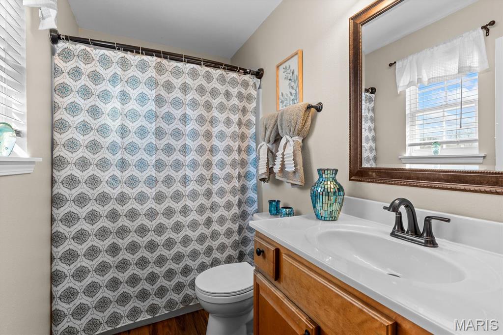 821 Chesapeake Jct Lane O'Fallon, IL 62269 - Photo 29 of 57