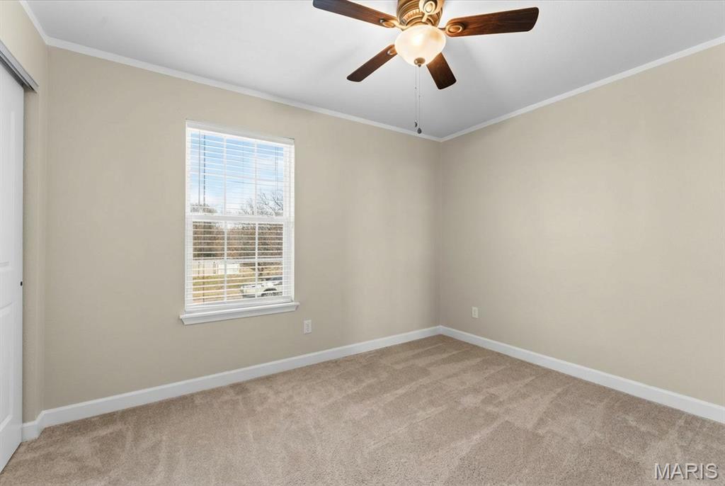 821 Chesapeake Jct Lane O'Fallon, IL 62269 - Photo 33 of 57