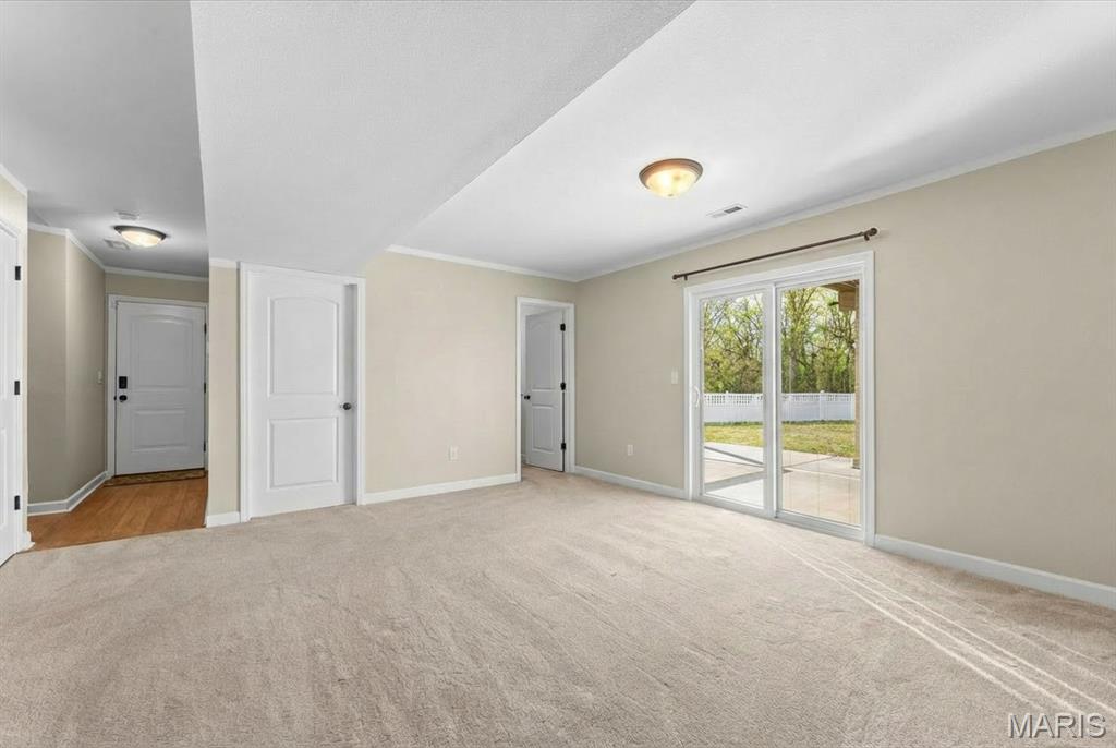 821 Chesapeake Jct Lane O'Fallon, IL 62269 - Photo 43 of 57