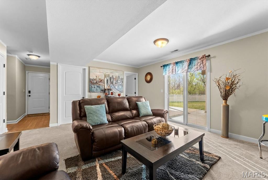 821 Chesapeake Jct Lane O'Fallon, IL 62269 - Photo 44 of 57