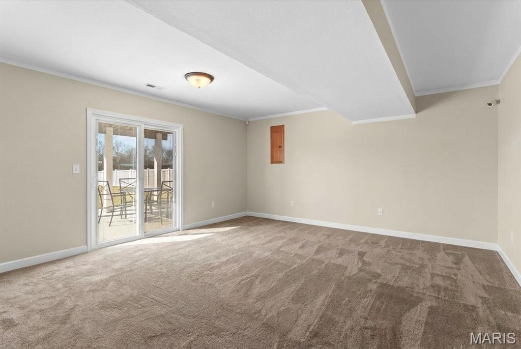 821 Chesapeake Jct Lane O'Fallon, IL 62269 - Photo 45 of 57