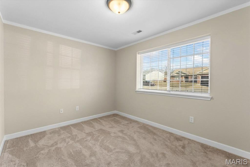 821 Chesapeake Jct Lane O'Fallon, IL 62269 - Photo 48 of 57