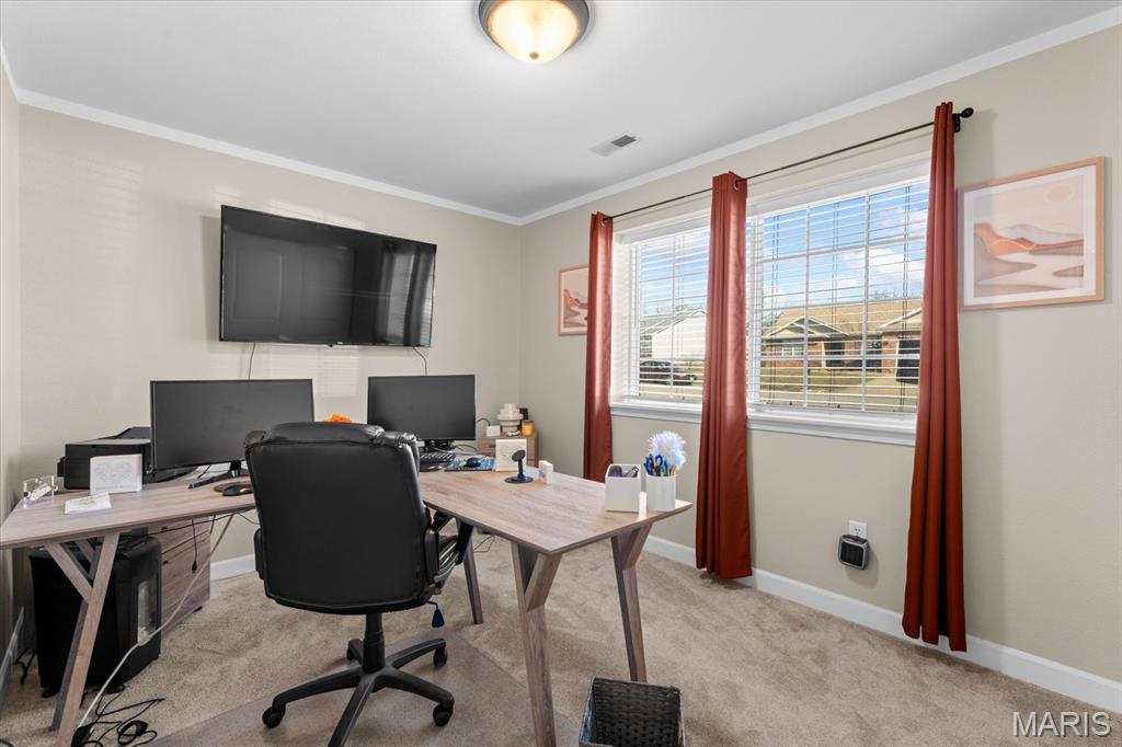 821 Chesapeake Jct Lane O'Fallon, IL 62269 - Photo 49 of 57