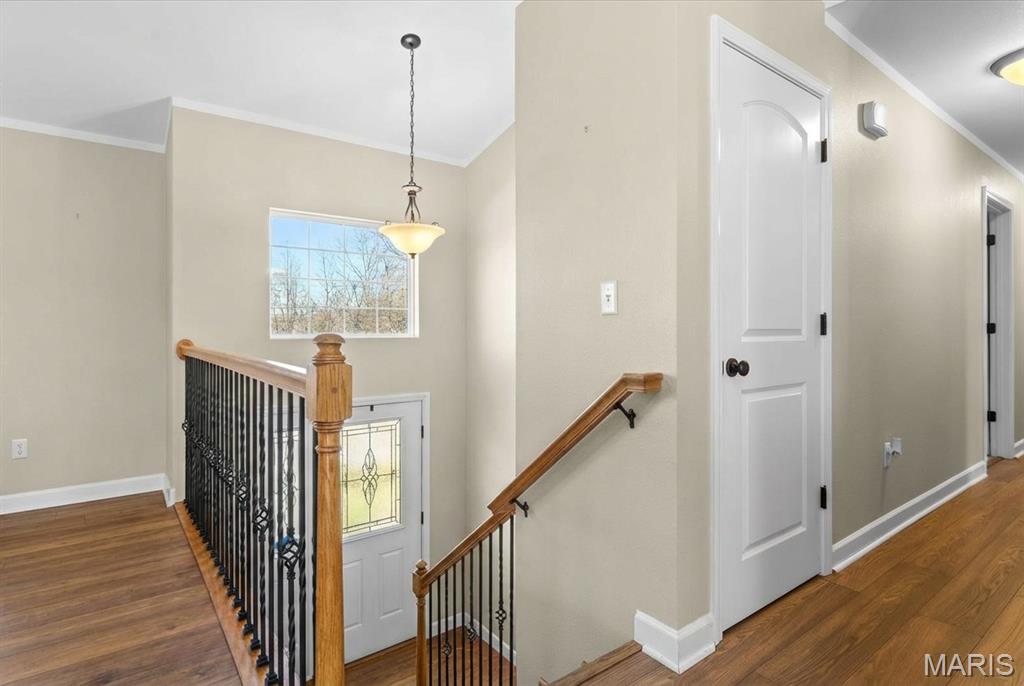 821 Chesapeake Jct Lane O'Fallon, IL 62269 - Photo 6 of 57