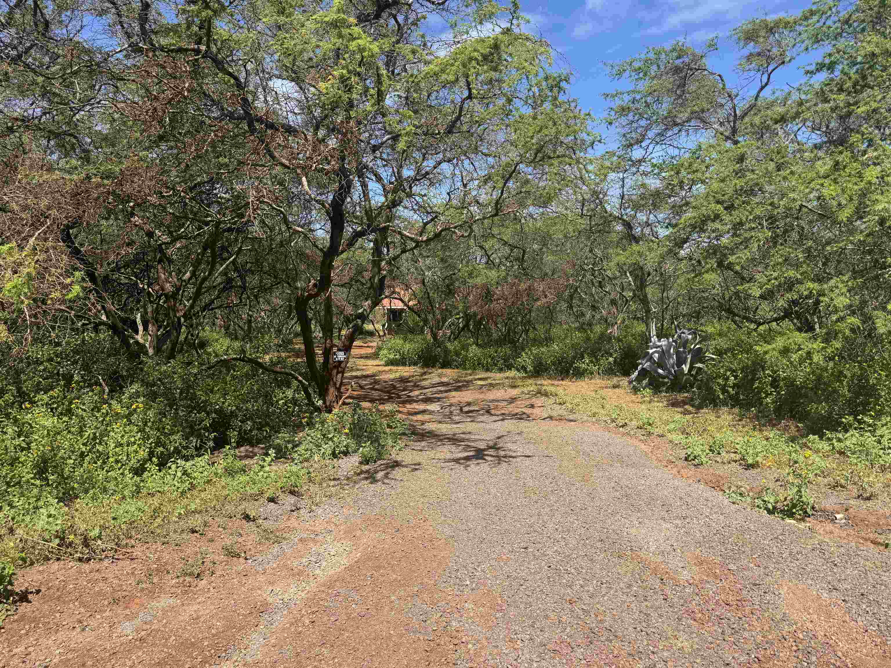 94 Noho Lio Road, Unit 157 Maunaloa, HI 96770 - Photo 6 of 38