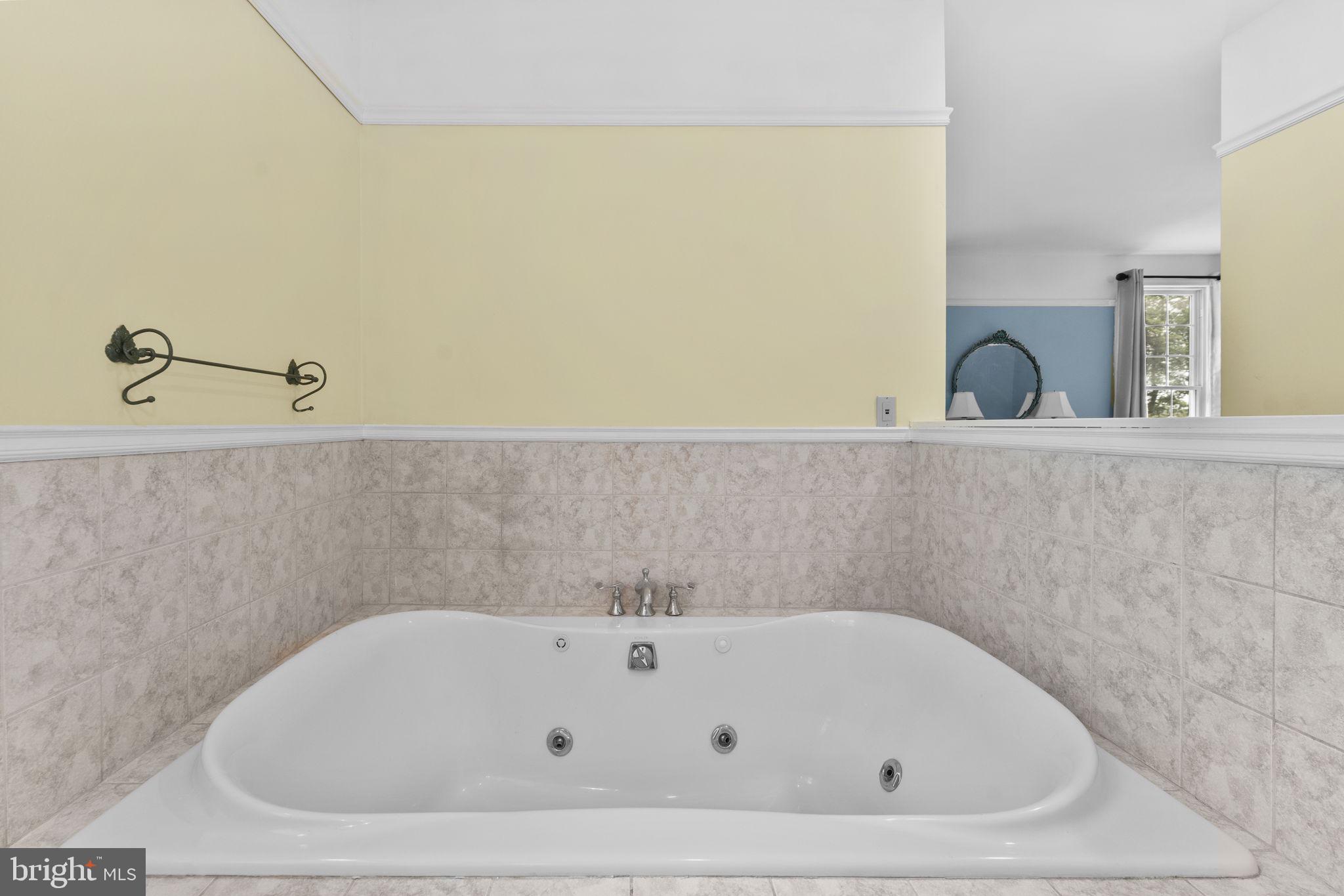 19725 Woodtrail Road Round Hill, VA 20141 - Photo 50 of 93 Primary Bathroom- Tub "as is"