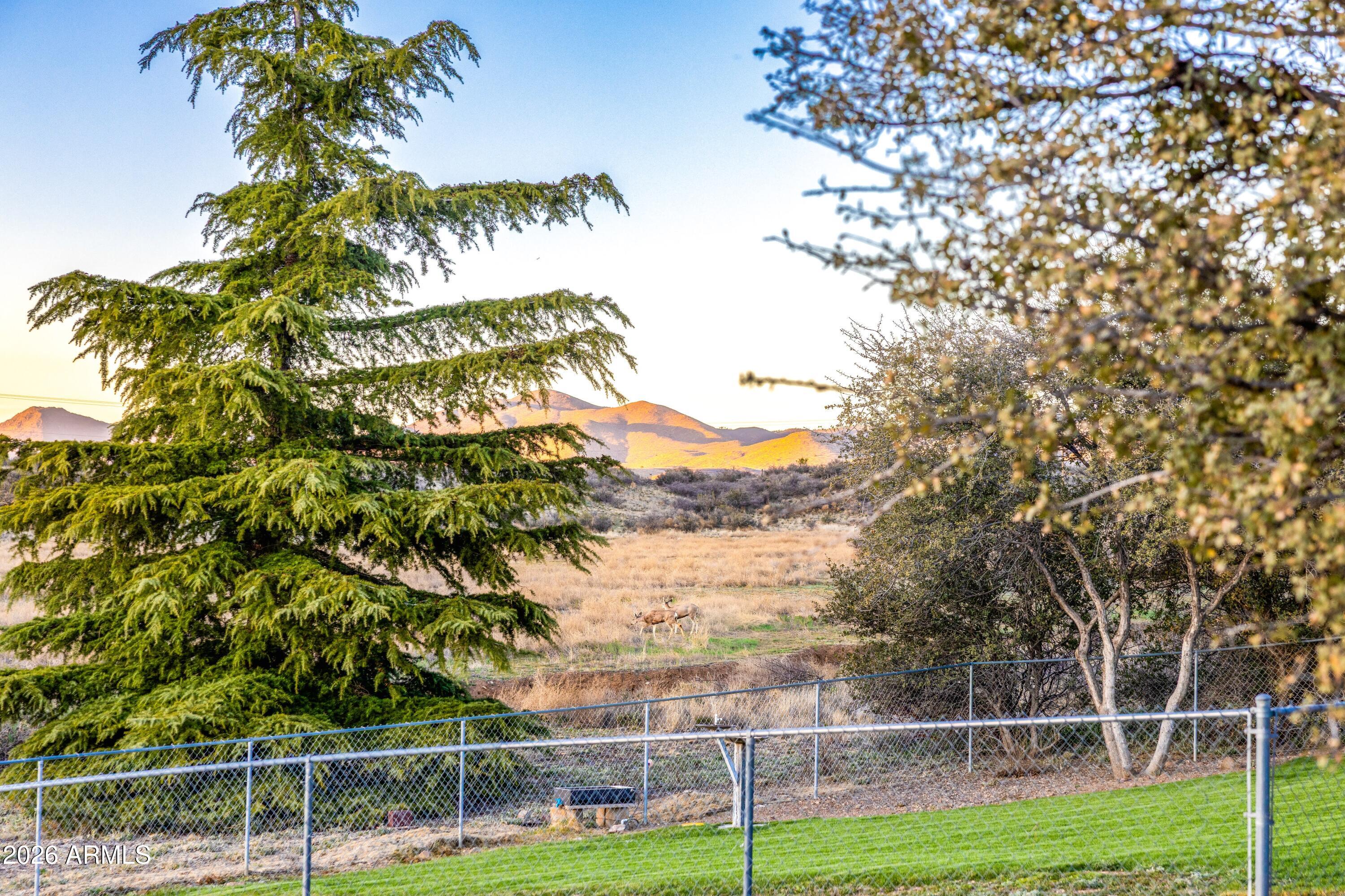 14350 East Meadow Ranch Place Dewey, AZ 86327 - Photo 51 of 54 a view of a yard with a tree