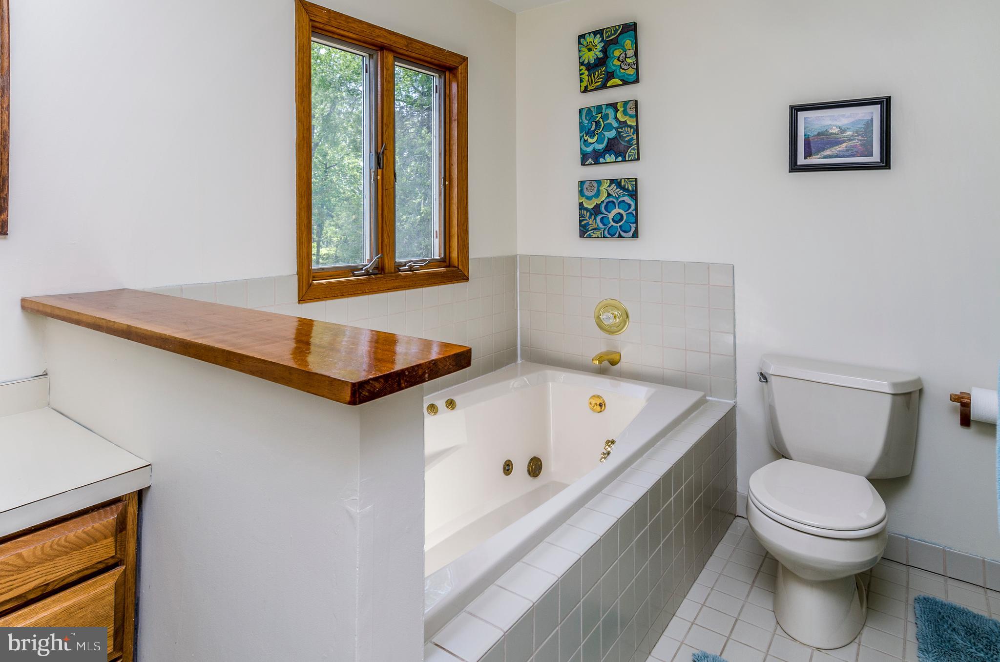 147 Hankins Road Hightstown, NJ 08520 - Photo 29 of 46 Gallery Image 29