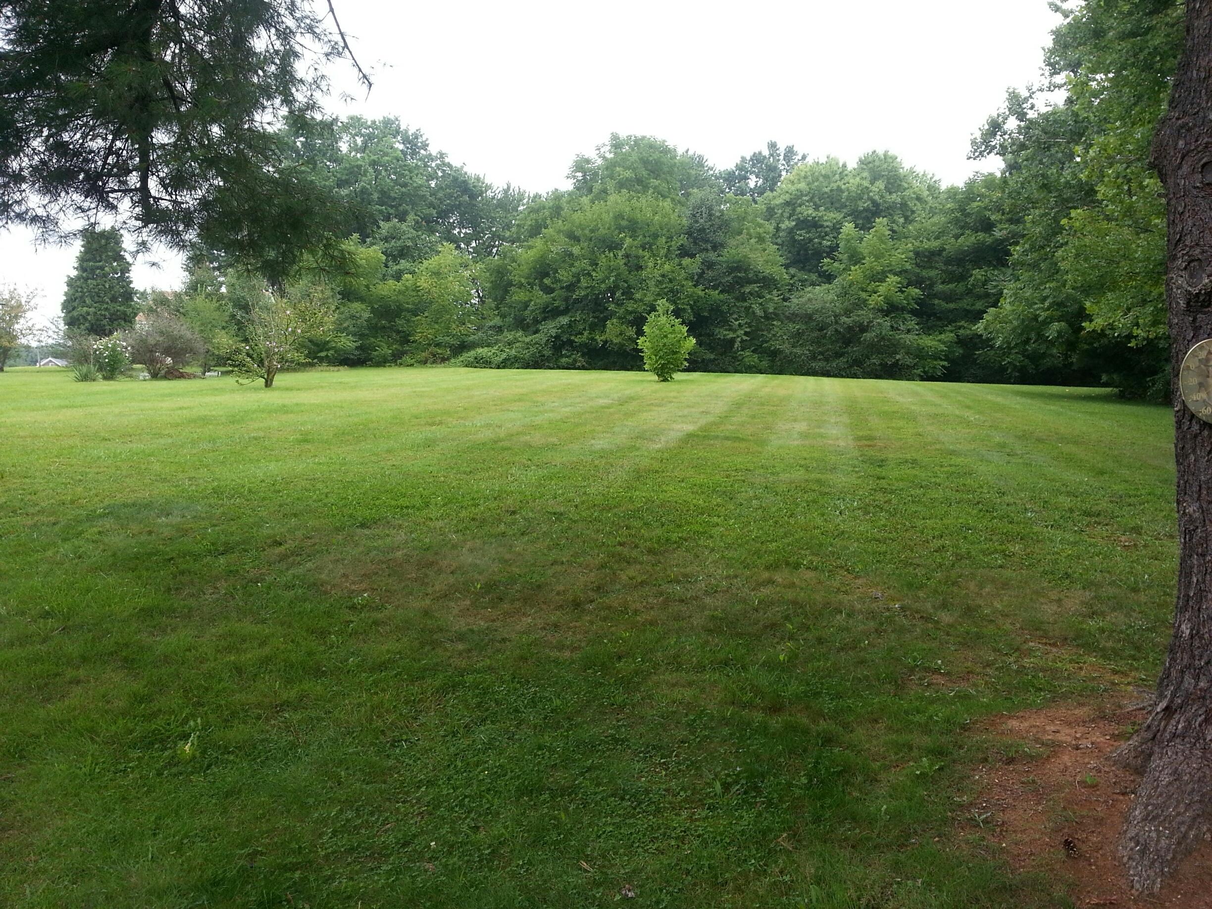 5449 Cove Road Roanoke, VA 24019 - Photo 16 of 19 Yard
