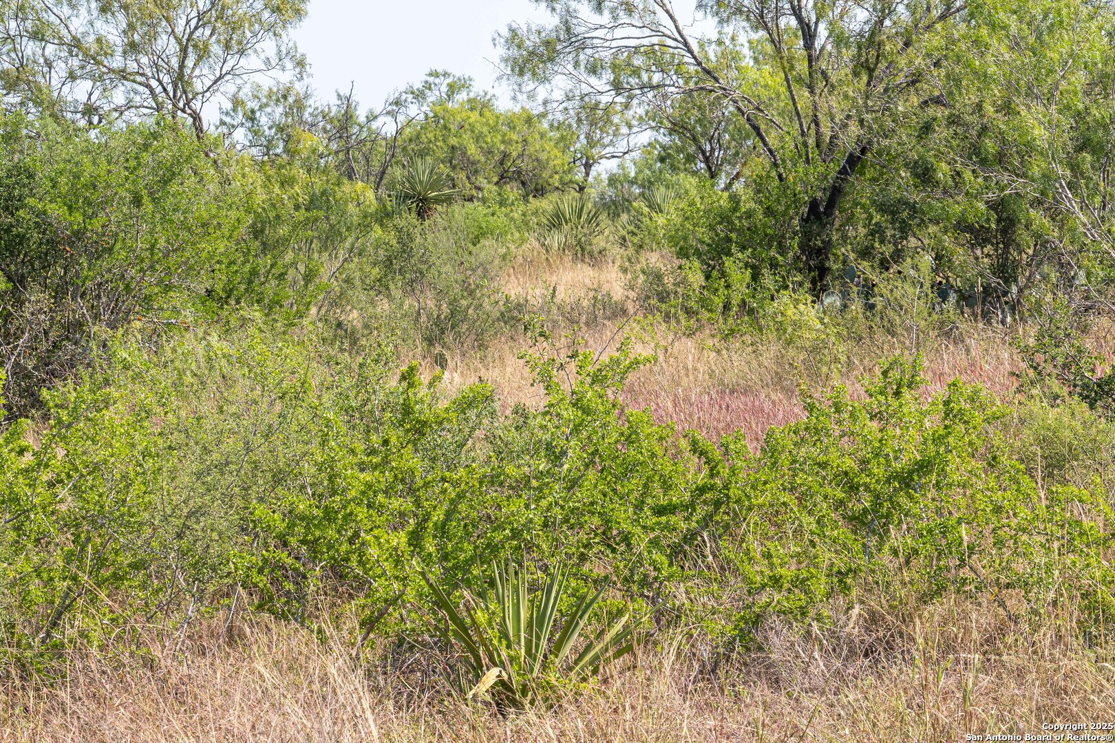 Tbd Pittman Road St. Hedwig, TX 78152 - Photo 5 of 6