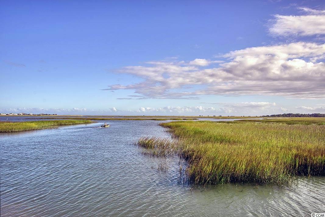 12 Offshore Drive Murrells Inlet, SC 29576 - Photo 40 of 40 Gallery Image 40