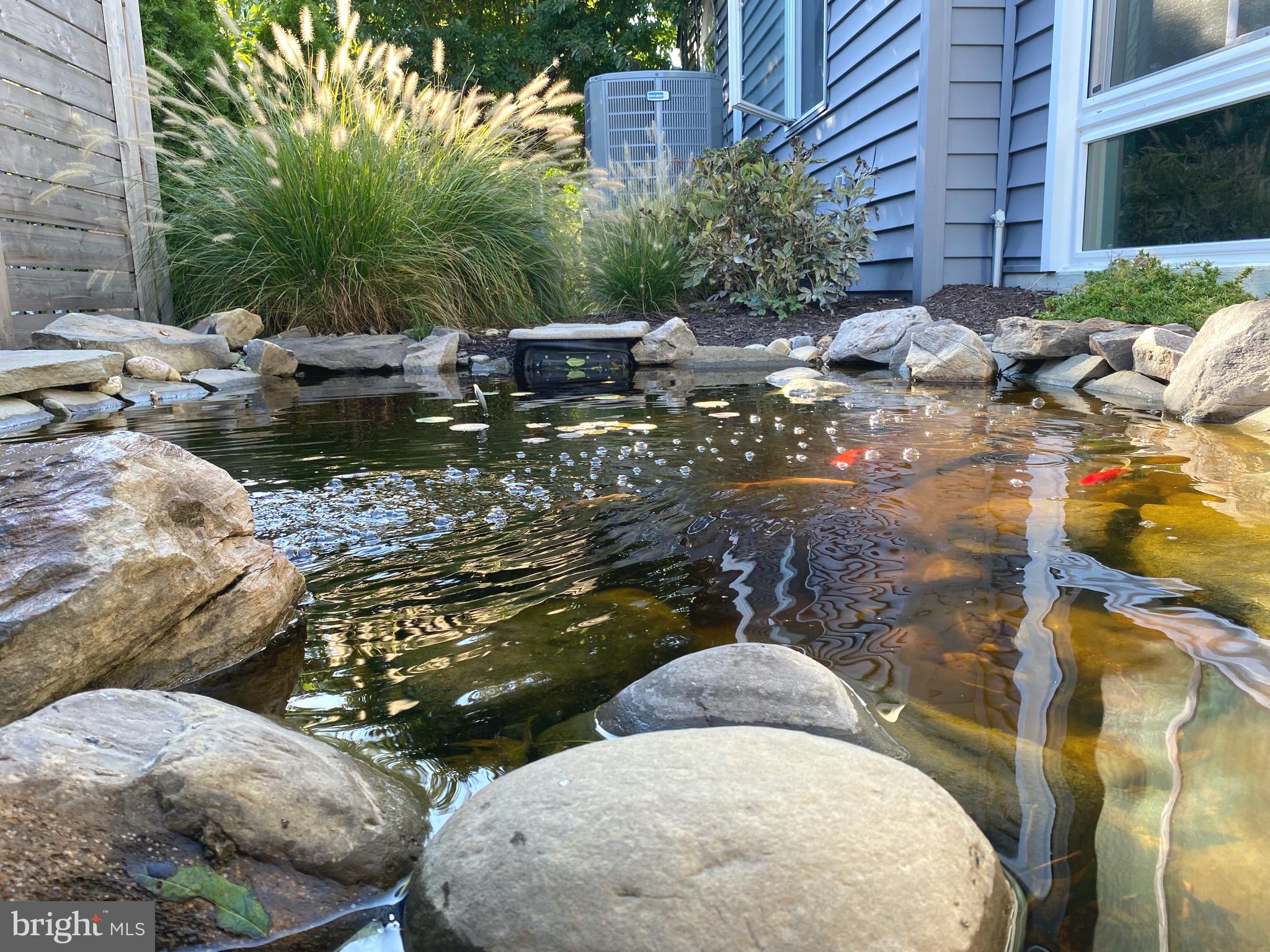 218 Queen Anne Road Stevensville, MD 21666 - Photo 44 of 49 Koi!